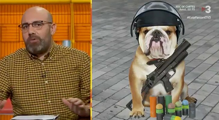 Magí Modgi comentando una foto de un perro con casco y un lanzador de balas foam