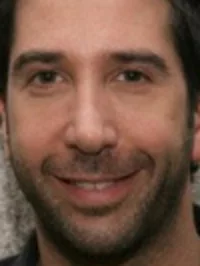 David Schwimmer