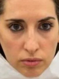 Nur Al Levi