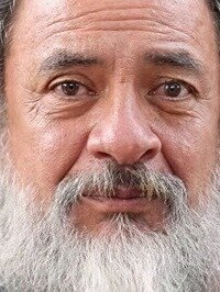 Luis Dubó