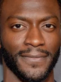 Aldis Hodge