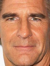 Scott Bakula