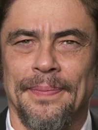 Benicio del Toro