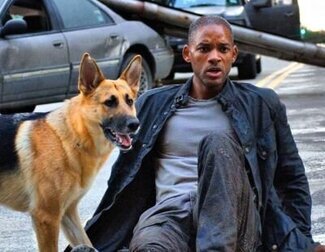 'Soy Leyenda' sigue a Robert Neville, el último hombre inmune en una Nueva York postapocalíptica, que lucha por encontrar una cura