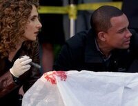 Un hombre se estrella contra el suelo tras caer desde una oficina en este capítulo de 'C.S.I. NY'