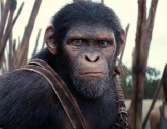 'El reino del planeta de los simios' salta un futuro en el que los humanos se han visto empujados a un rol secundario