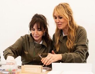 'DecoMasters' celebra su gran final en la que coronará a una de las tres parejas finalistas