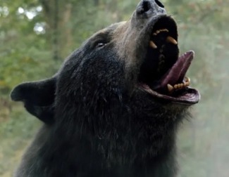 Un oso esnifa cocaína y desata un inesperado caos en el bosque