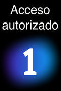 Acceso autorizado