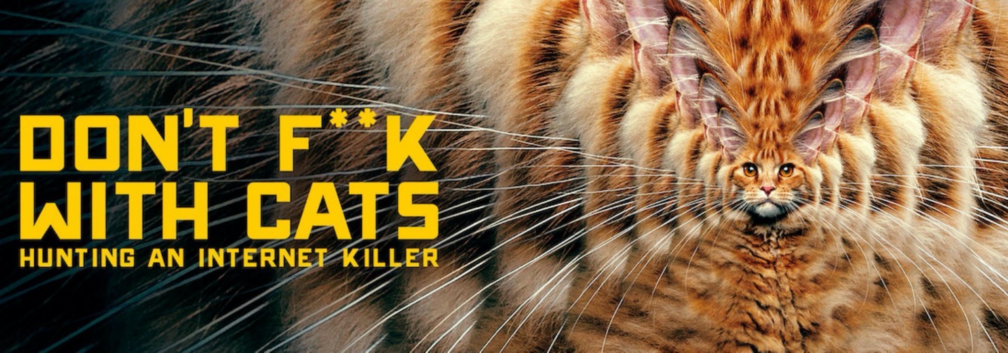 A los gatos, ni tocarlos: Un asesino en Internet