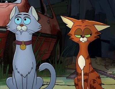 Gatos callejeros