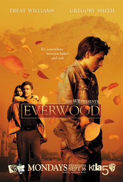 Temporada 1 Everwood