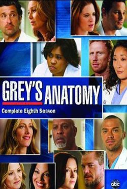 Temporada 8 Anatomía de Grey