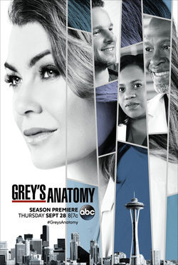 Temporada 14 Anatomía de Grey