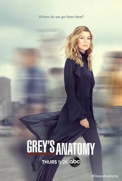 Temporada 16 Anatomía de Grey