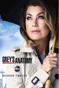 Temporada 12 Anatomía de Grey