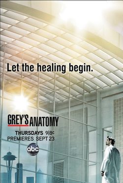 Temporada 5 Anatomía de Grey