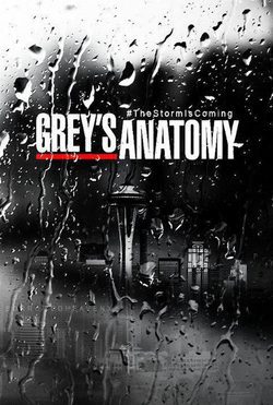 Temporada 10 Anatomía de Grey
