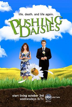 Pushing Daisies