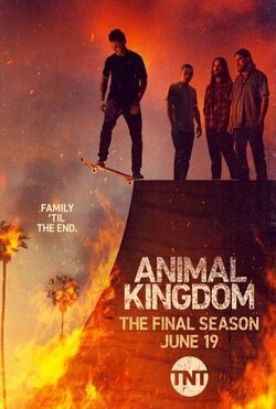 Temporada 4 Animal Kingdom