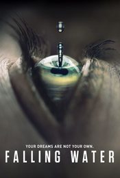 Cartel de Falling Water