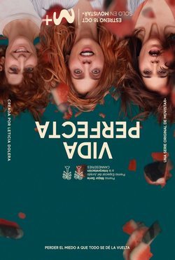 Cartel de la temporada 1 de Vida perfecta
