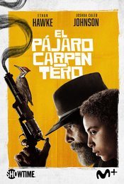 Cartel de El pájaro carpintero