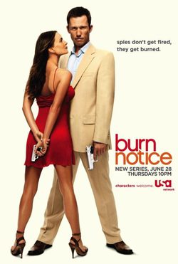 Temporada 1 Burn notice