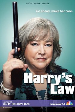 Cartel de la temporada 1 de Harry's Law