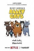 Gatos callejeros