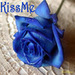 KissMe