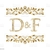 dvdfcd2004