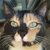 TuxoMartin