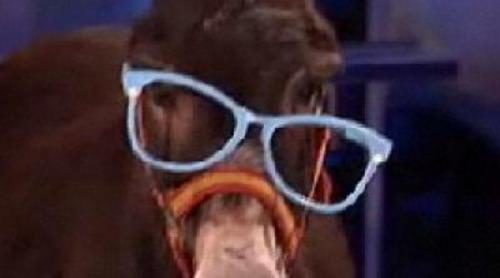 Hociquitos en 'El intermedio'