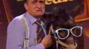 Hociquitos dimite en 'El intermedio'