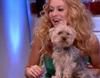 Paulina Rubio habla con Trancas y Barrancas en 'El Hormiguero'