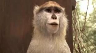 Piden la retirada del anuncio del jamón Navidul por racista