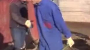 Los chicos de 'Generación Ni-ni' no soportan su primer día de trabajo