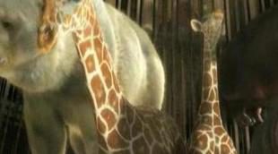 Anuncio del nuevo Syfy