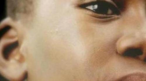 Mundial 2010 en Cuatro: el tigre