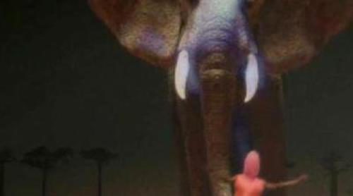 Mundial 2010 en Cuatro: el elefante