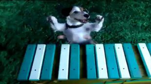 Pacho protagonizó la campaña del 20º aniversario de La Primitiva