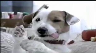 Pancho (Cook) realizó todo tipo de malabarismos en los anuncios de Loterías