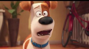 Segundo tráiler de "Mascotas", película con las voces de Úrsula Corberó y David Guapo