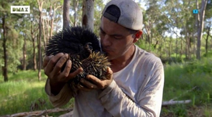 'Wild Frank' estrena este domingo en la espectacular Australia su temporada 7