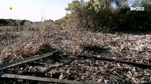 DKISS lanza 'Amigos que matan' el sábado 7 de enero