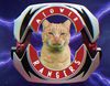 Así es la desternillante versión felina de 'Mighty Morphin Power Rangers'