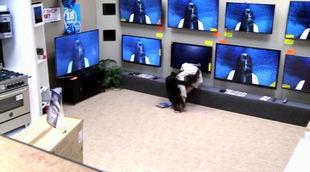 La niña de "Rings" y su hilarante cámara oculta al salir de la pantalla de una tienda de televisores