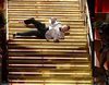James Corden cae escaleras abajo durante la apertura de los premios Grammy 2017