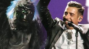 Eurovisión 2017: ¿Qué animal utilizarían en su puesta en escena los representantes de otros países?